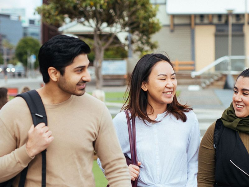 International-students-Honeysuckle-web